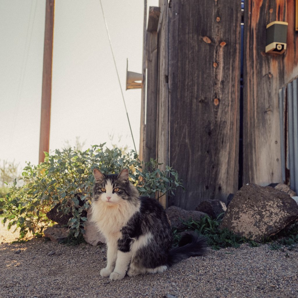 InstaKenX_Oatman (21 of 7)