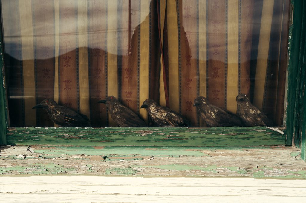 KenLamug_GoldfieldDetails-12