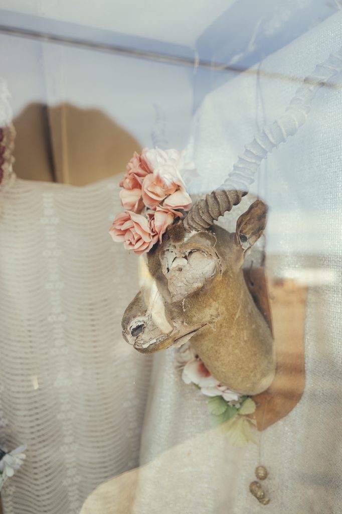 KenLamug_GoldfieldDetails-15