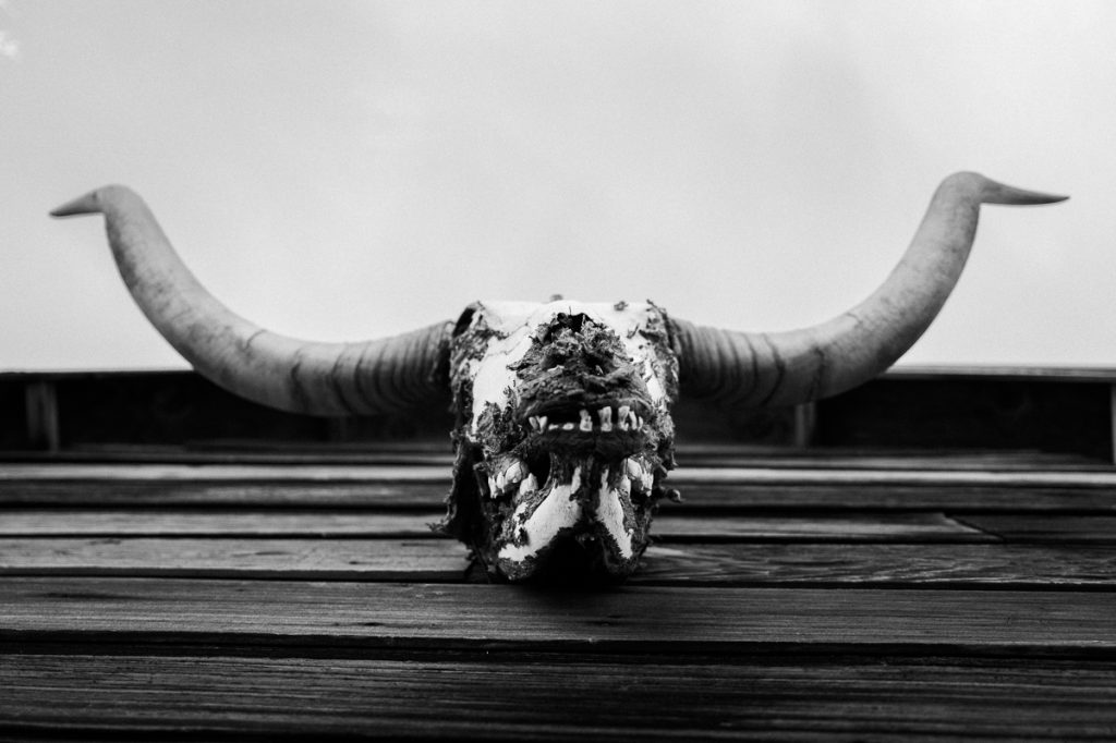 KenLamug_GoldfieldDetails-16