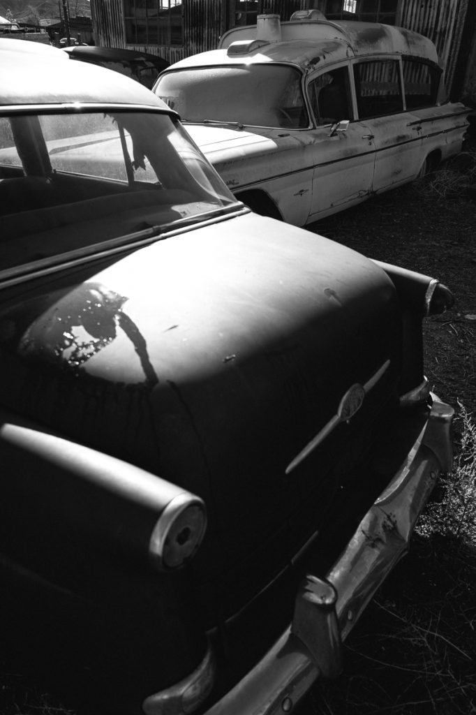 KenLamug_GoldfieldDetails-18