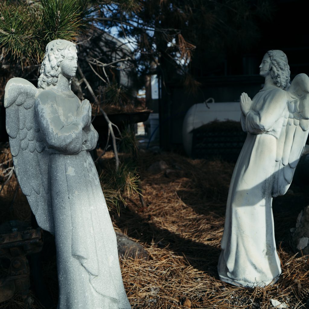 KenLamug_GoldfieldDetails-2