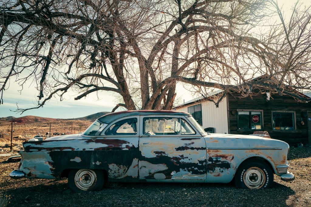 KenLamug_GoldfieldDetails-30