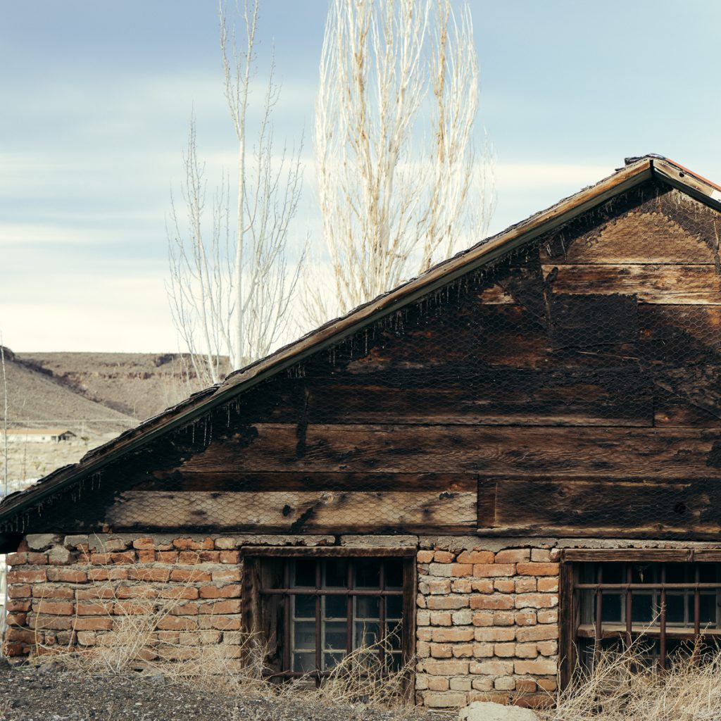 KenLamug_GoldfieldDetails-5